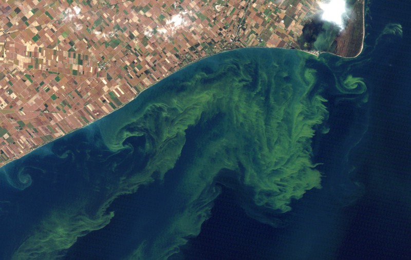 The 2011 Lake Erie algal bloom was the largest in recorded history and was visible from space. CREDIT: ITTNASA