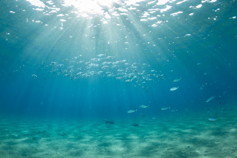 CREDIT: SHUTTERSTOCK