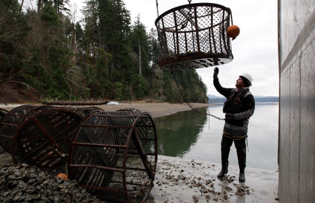 WHAT IMPORTANT THINGS HAPPENED IN 2013 visual data 6