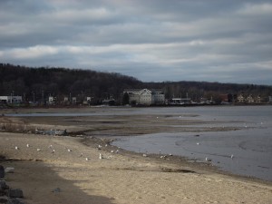 Grelickville, Traverse City , MI — Low Water CREDIT: NOAA