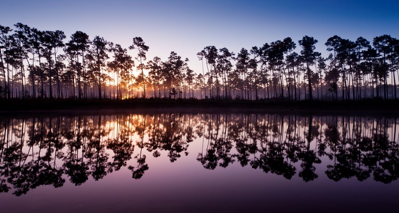 CREDIT: SHUTTERSTOCK