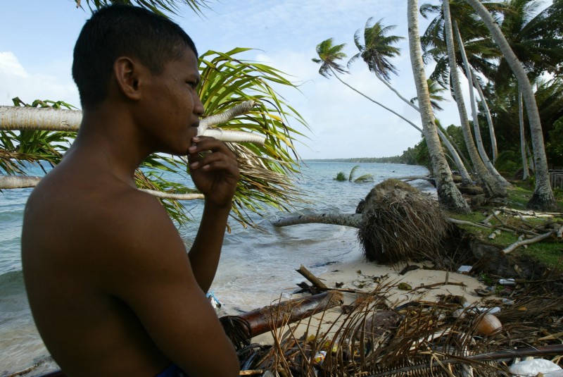 As the Majuro shoreline erodes, coconut trees fall into the ocean. CREDIT: A.P. IMAGES