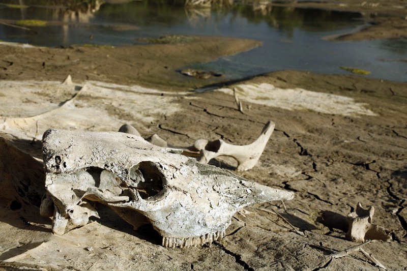 CREDIT: SHUTTERSTOCK