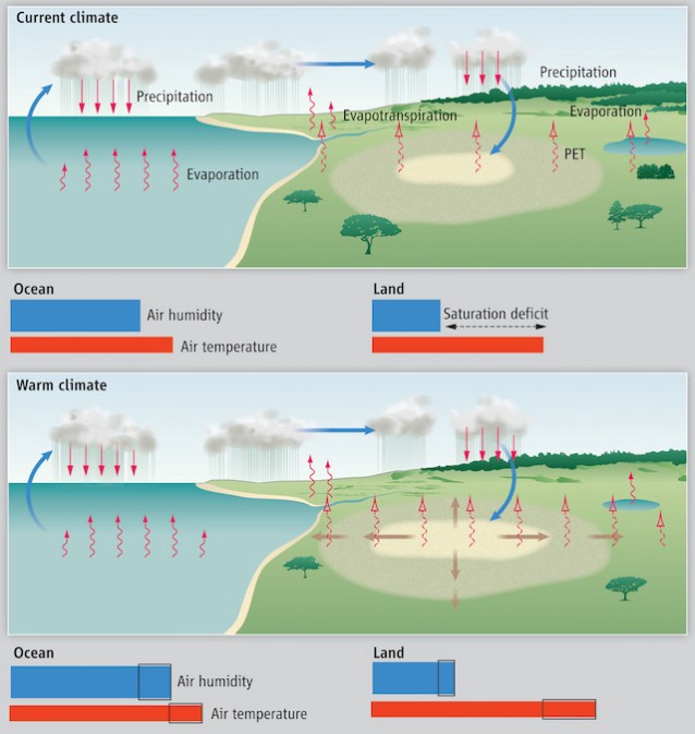 Aridity increases in warmer climates, leading to expansion of dry climate zones. Evaporation and precipitation increase modestly, but on land, evaporative demand (broken wavy arrows) increases faster than precipitation, because the strong increases in air temperature and consequently saturated water vapor concentration over land (red bars at lower right) exceed growth in actual water vapor concentration (blue bars). Increases in sensible and latent heat (associated, respectively, with temperature and water vapor, and represented by the area of each bar) have the same sum over land and ocean, with sensible heat increasing more over land than oceans and latent heat increasing more over oceans. Relative humidity (ratio of blue to red bar length) decreases over land. (PET is “potential evapotranspiration.”)
