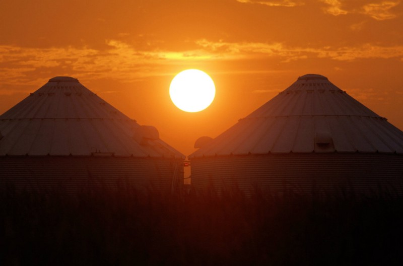 The sun rises over grain bins and a drought struggling corn crop Saturday, Aug. 4, 2012 in Ashland, Ill. CREDIT: AP PHOTO/SETH PERLMAN