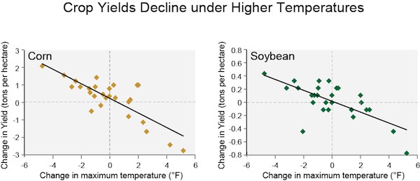 Corn and soybean harvests in Illinois and Indiana were lower in years with average maximum summer temperatures higher than the average from 1980 to 2007. CREDIT: Mishra and Cherkauer 2010