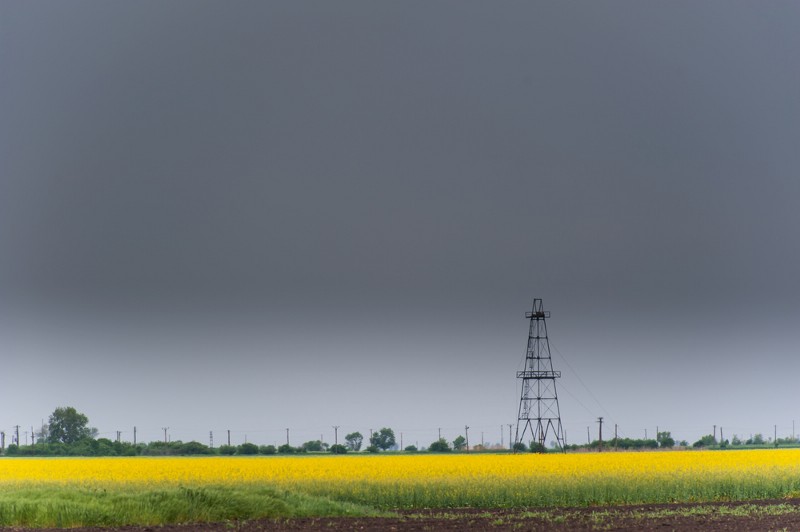 CREDIT: CALIN TATU/SHUTTERSTOCK