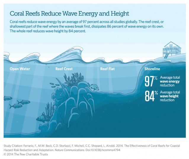 CREDIT: The Nature Conservancy