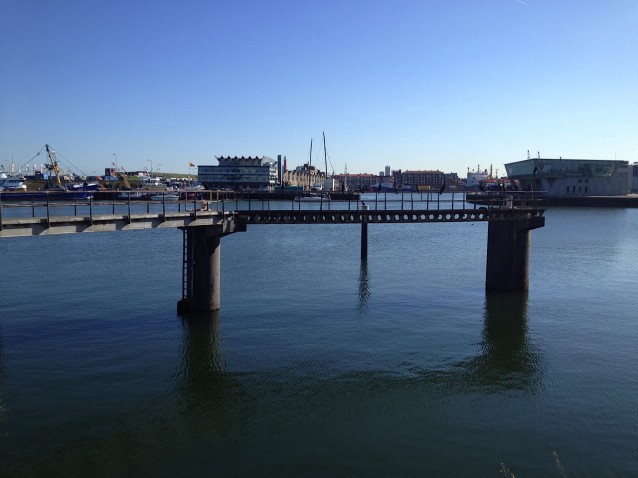 The harbor at Duindorp, the Netherlands. CREDIT: Joanna M. Foster