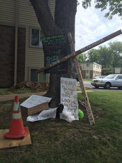 CREDIT: Shannon Greenwood