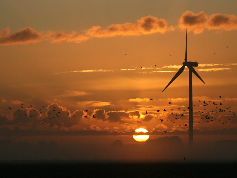 CREDIT: SHUTTERSTOCK