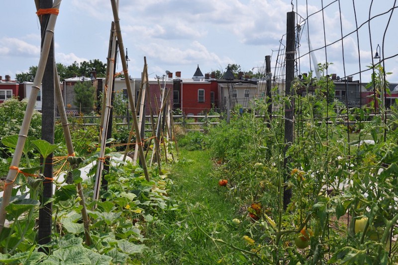 CREDIT: JEFF SPROSS / CLIMATE PROGRESS