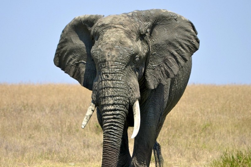 CREDIT: SHUTTERSTOCK