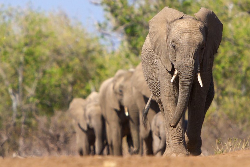 CREDIT: SHUTTERSTOCK