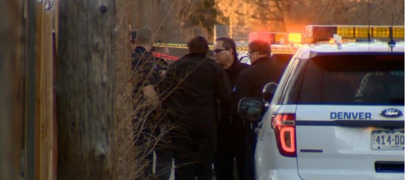 CREDIT: SCREEN SHOT, CHANNEL 9 NEWS