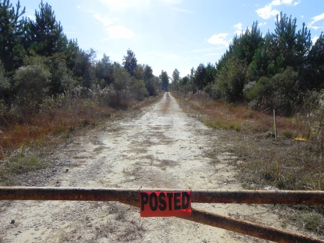 A dirt road off of LA Highway 1088 leads to Helis’ proposed fracking site. CREDIT: Alice Ollstein