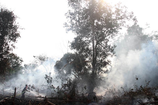 A firemen sprays water to try to put out peatland fire in Indonesia, Sept 16, 2014. CREDIT: AP PHOTO/RONY MUHARRMAN