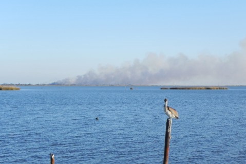 Many of wetlands where Louisianans once lived are now underwater. CREDIT: Alice Ollstein