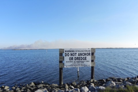 CREDIT: Alice Ollstein