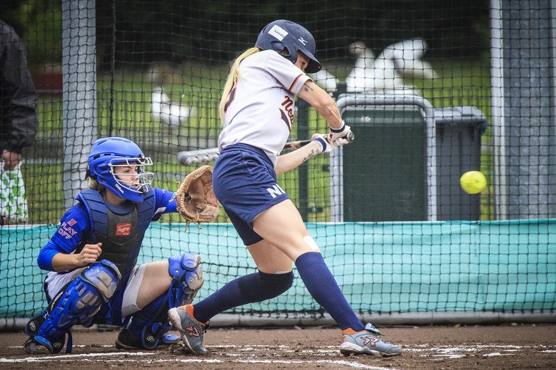 CREDIT: JAN DE WILD / SHUTTERSTOCK.COM