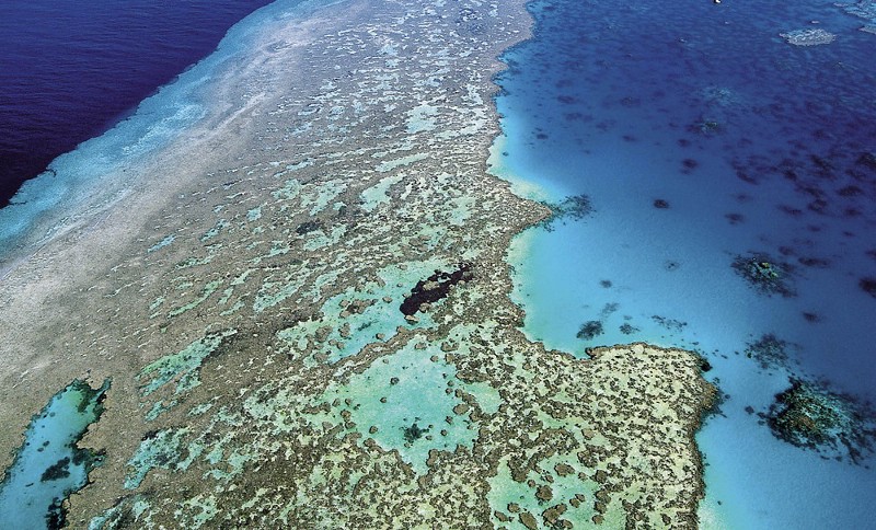 CREDIT: AP/ UNCREDITED