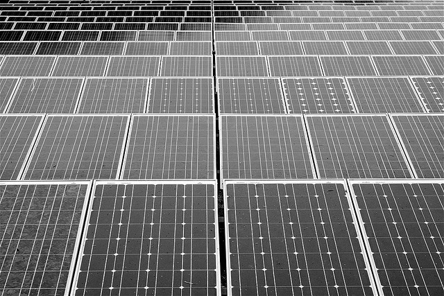 CREDIT: FLICKR/AMMUSK