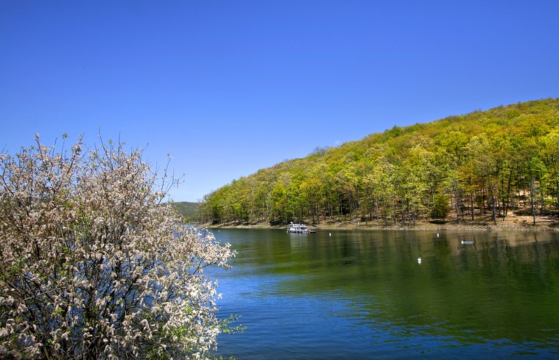 Allegheny National Forest. CREDIT: SHUTTERSTOCK