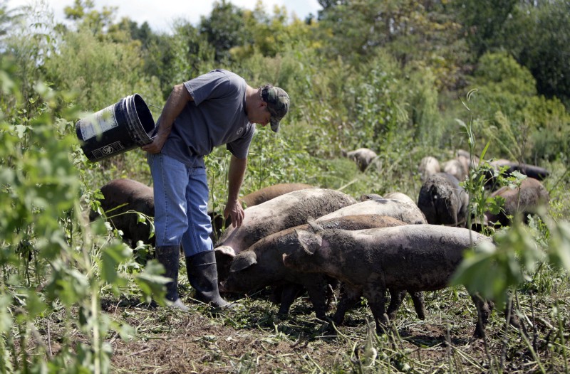 CREDIT: AP PHOTO/JEFF ROBERSON