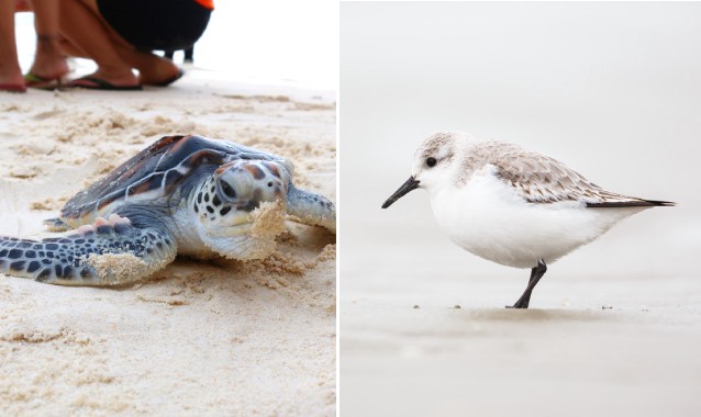 CREDIT: Shutterstock