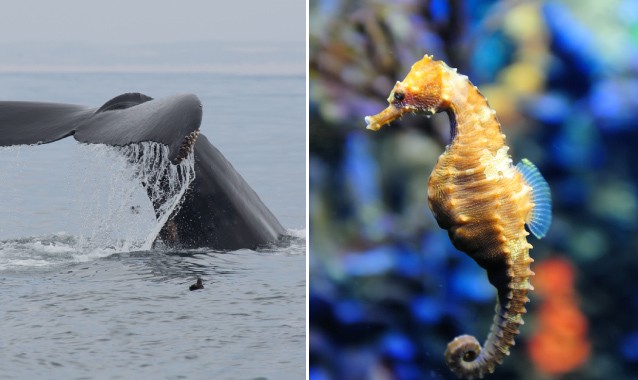 CREDIT: Shutterstock