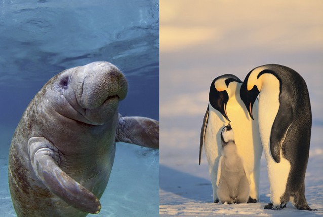 CREDIT: Shutterstock