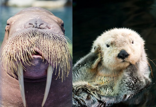 CREDIT: Shutterstock