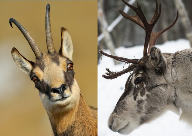 CREDIT: Shutterstock