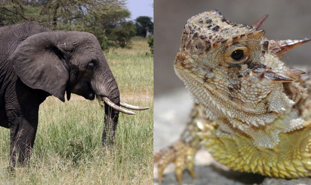 CREDIT: Shutterstock