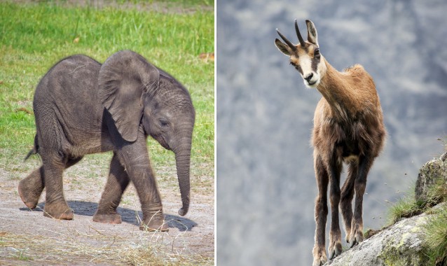 CREDIT: Shutterstock