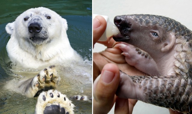 CREDIT: Shutterstock/AP