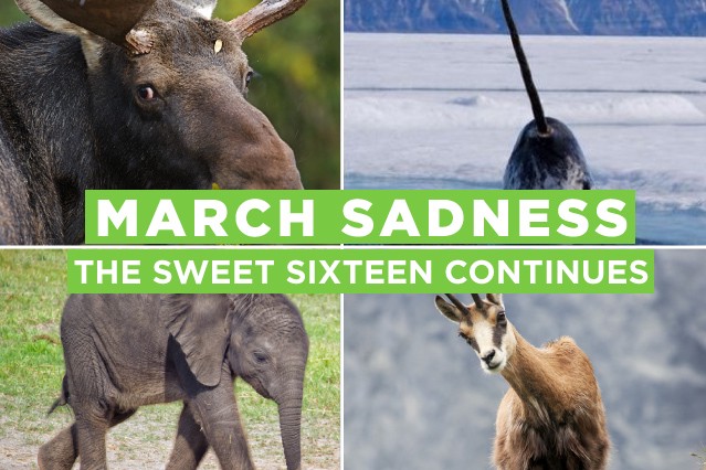 CREDIT: PATRICK SMITH