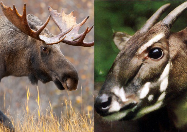 CREDIT: Shutterstock/AP