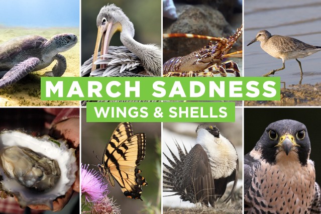 CREDIT: PATRICK SMITH