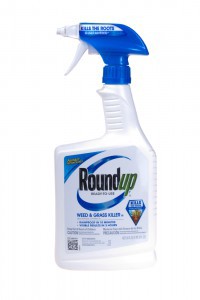 Roundup, shown here, includes a chemical that could be carcinogenic to humans. CREDIT: Shutterstock