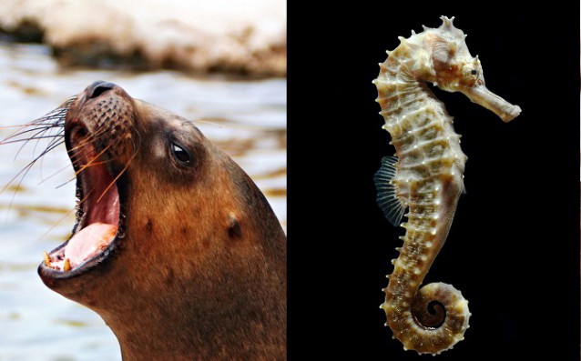 CREDIT: Shutterstock