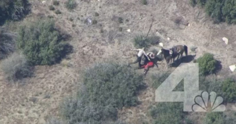 In this frame from video provided by KNBC-TV, officers beat and kick a man Thursday, April 9, 2015, near Apple Valley, Calif. CREDIT: AP PHOTO/KNBC-TV