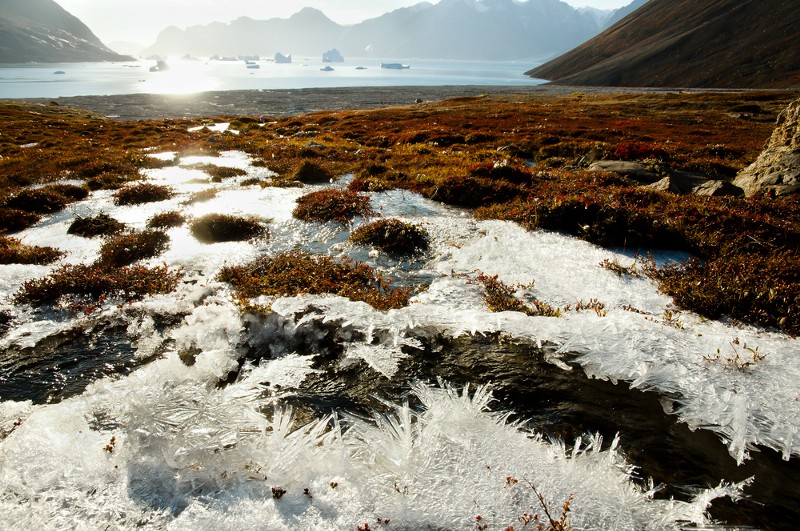 Greenland’s permafrost could be melting faster than expected due to active microbes, according to new research. CREDIT: SHUTTERSTOCK