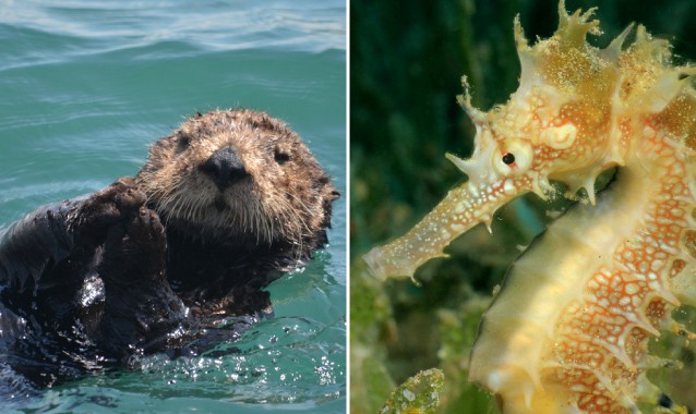 CREDIT: shutterstock