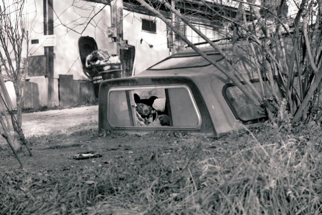 Sunshine Lane CREDIT: Scott Rodd