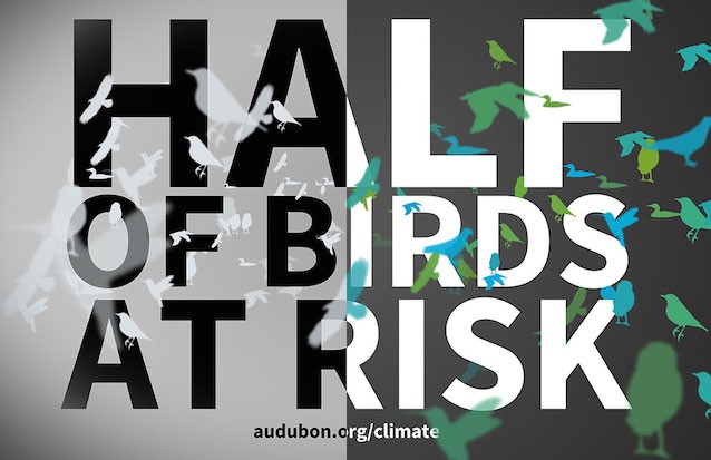 CREDIT: NATIONAL AUDUBON SOCIETY