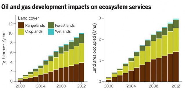 CREDIT: Science/AAAS