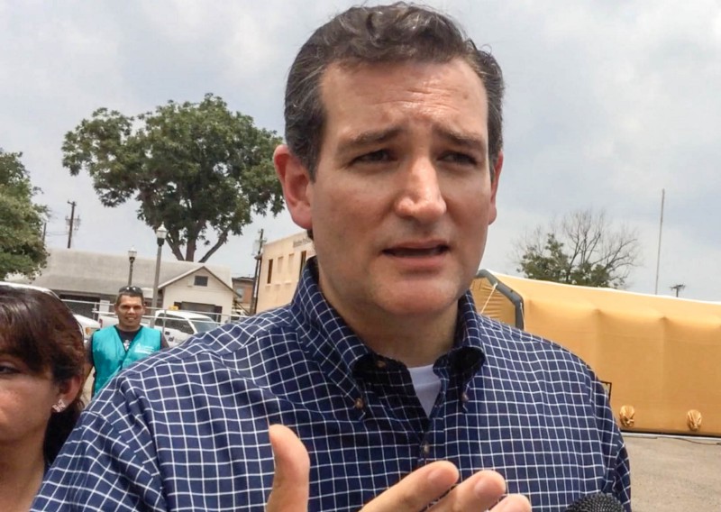Sen. Ted Cruz (R-TX) CREDIT: JACK JENKINS