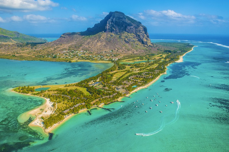 Present-day Mauritius, post-fecal cocktail swamp. CREDIT: SHUTTERSTOCK