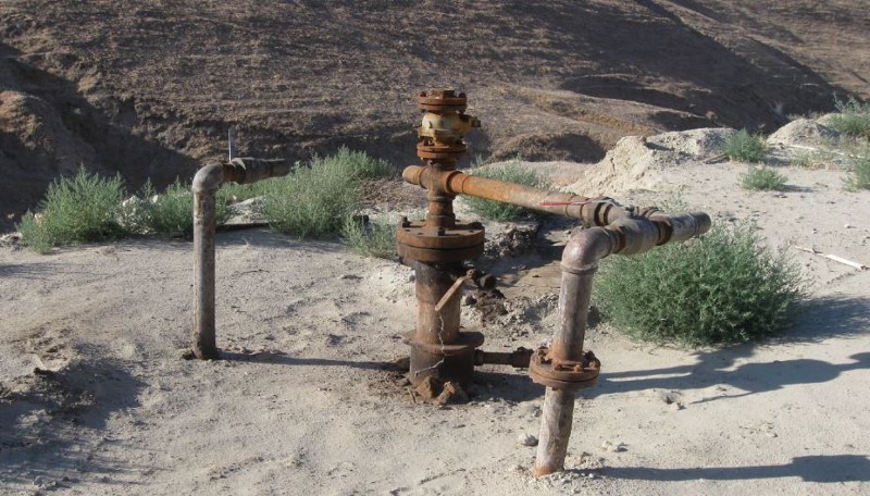 CREDIT: COURTESY CENTER FOR BIOLOGICAL DIVERSITY